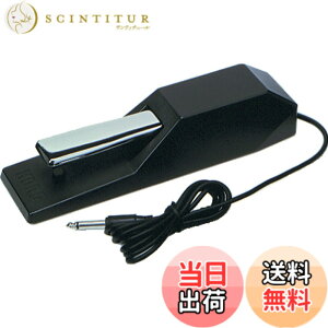 �y���������zKORG �_���p�[�y�_�� �d�q�s�A�m�p DS-1H �n�[�t�y�_���Ή�