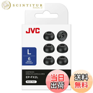 �y���������zJVC�P���E�b�h JVC EP-FX2L-B �����p�C���[�s�[�X �V���R�� 6���� L�T�C�Y �u���b�N
