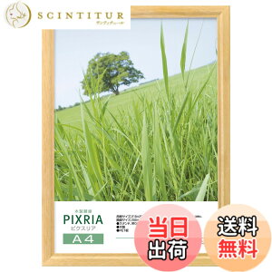 �y���������z�n�N�o HAKUBA �ؐ��z�� �s�N�X���A A4�T�C�Y �i�`������ �|�X�^�[�t���[�� �t�H�g�t���[�� �O��PET�� �݂�R�t��FWPX-NTA4