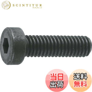 �y���������zTRUSCO(�g���X�R) �ᓪ�Z�p���t�{���g �����ߑS�l�W M6x25 13�{�� B081-0625