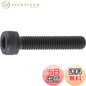 �y���������z�g���X�R���R(TRUSCO) �Z�p���t�{���g �����ߑS�l�W M5x20 61�{�� B30-0520