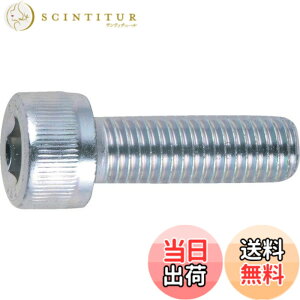 �y���������zTRUSCO(�g���X�R) �Z�p���t�{���g�O�� �� �S�l�W M5x20 26�{�� B730-0520
