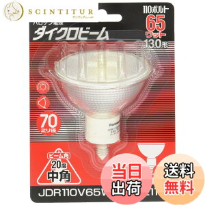 �y���������z�p�i�\�j�b�N �n���Q�������v �_�C�N���r�[�� 110V 65W�` E11���� ���p JDR110V65WKM7E11X