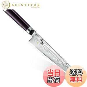 �y���������z�֑��Z �_�}�X�J�X ���� 210mm AE-5205