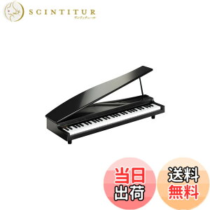 �y���������zKORG MICROPIANO �}�C�N���s�A�m �~�j����61�� �u���b�N 61�Ȃ̃f���\���O���� �������t�\
