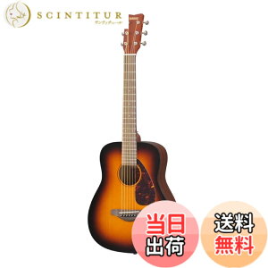 �y���������z���}�n YAMAHA �~�j�M�^�[ JR2 TBS