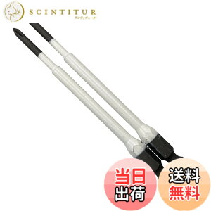 �y���������z�A�l�b�N�X(ANEX) �J���[�r�b�g �i�t +0x100 2�{�g ACMD-0100