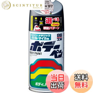 �y���������z�\�t�g99(SOFT99) 99�H�[ ��C�y�C���g �{�f�[�y�� T�[095 300ml TOYOTA(�g���^)/LEXUS(���N�T�X) 1F7 �V���o�[M �����ԃ{�f�B�A�o���p�[�A�����A�؍� 08095