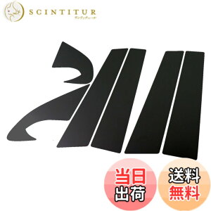 �y���������zBRIGHTZ �f���A���X J10 �����ʃu���b�N���b�L�s���[�p�l���J�o�[ 6PC �o�C�U�[�����p �y PIL-BLA-249 �z 5107