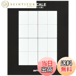 �y���������z�h���p�X B-SCALE B�X�P�[�� �f�b�T���p B��p���� 54012