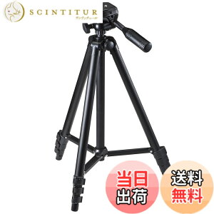 �y���������z�T�����_�C���N�g �J���� �O�r �y�� 542g 4�i �R���p�N�g �N�C�b�N�V���[ �r�f�I�J���� �~���[���X �P�[�X�t�� �J�����O�r 200-CAM021N