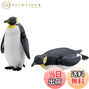 ���i�摜