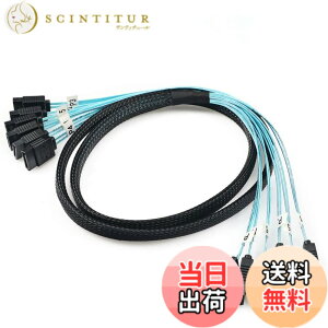 �y���������zCableDeconn����6��/�Z�b�gSata 3 SATA�P�[�u��SAS�P�[�u��6Gbps�T�[�o�[1M�p