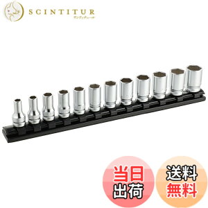 �y���������z�R�[�P�� 9.5mm���� Z-EAL�Z�~�f�B�[�v�\�P�b�g���[���Z�b�g12���g RS3300XZ12