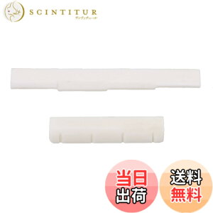 �y���������zYibuy 4���E�N�����M�^�[�p�i�b�g�ƃ{�[���T�h��
