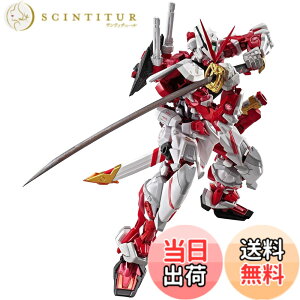 �y���������zTAMASHII NATIONS METAL BUILD �@����m�K���_��SEED ASTRAY �K���_���A�X�g���C���b�h�t���[�� ��180mm ABS&PC&PVC&�_�C�L���X�g�� �h���ς݉��t�B�M���A