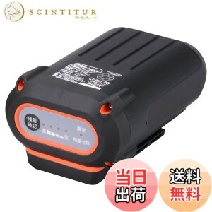 �y���������z�H�i(KOSHIN) �X�}�[�g�V���[�Y �o�b�e���[�p�b�N 36V 2.5Ah PA-334