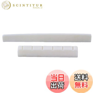 �y���������zYibuy �z���C�g ���� �u���b�W�T�h���ƃi�b�g 6 String �N���V�b�N�M�^�[�̂��� DJ01+DJ02