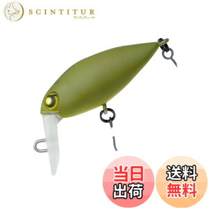 �y���������zRodiocraft(���f�I�N���t�g) �G���A�p�N�����N�x�C�g ���J DR 2�t�b�N(SS) #18 ��/��