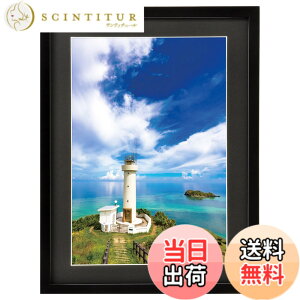 �y���������z�n�N�o HAKUBA �z�� MM-01 ���C�h4�� �ؐ� �u���b�N FWMM01-BKW4