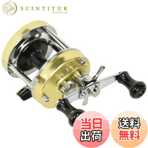 �y���������zAbuGarcia (�A�u�K���V�A) �A���o�T�_�[ (Ambassadeur) 5500CS ���P�b�g �V�����p���S�[���h �E���� �_�u���n���h�� �o�X ���C�M�� �i�}�Y �g�b�v�E�H�[�^�[�ی`���[��