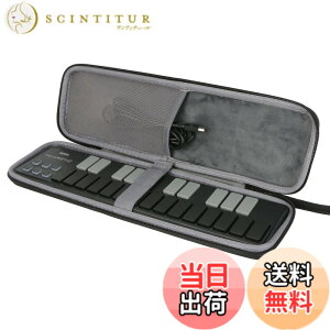 �y���������z�yco2CREA ��p���[�P�[�X�zKORG ��� USB MIDI�L�[�{�[�h nanoKEY2 25�� MIDI�R���g���[���[ nanoPAD2 16�p�b�h �ɑΉ��i�P�[�X�̂݁j