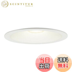 �y���������z�p�i�\�j�b�N(Panasonic) LED �_�E�����C�g �V�䖄���^ 60�` 150�a�d���F LSEB5613LE1