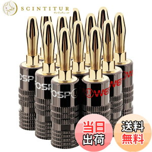 �y���������zFosPower �o�i�i�v���O �R�l�N�^�y�˂����ݎ� / 24k �����b�L/�����V�F���z�\���_�[���X �X�s�[�J�[�P�[�u��/�X�s�[�J�[���C���[/�ǃv���[�g�p (12�{�Z�b�g / 6�y�A)