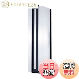 �y���������z�p�i�\�j�b�N(Panasonic) LED �|�[�`���C�g �ǒ��t�^ 40�` �����F LGWC80433LE1