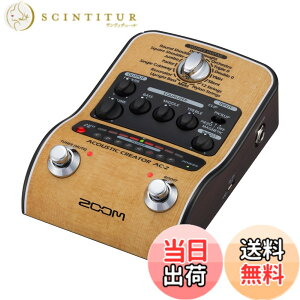 �y���������zZOOM �Y�[�� AC-2 �A�R�[�X�e�B�b�N�M�^�[�p�v���A���v �y�������K�i/3�N�����t�z �s�G�]/�}�O�l�Ή� 16��v���Z�b�g DI�@�\ XLR�o�� �d�r�쓮�Ή� �x�[�W�� AC�A�_�v�^�[�t�� AC�V��