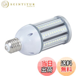 �y���������zFwaytech LED�d�� E26 �����F E39�����t�� 36W 4200LM�ȏ� 6000K���� LED�O�� �R�[�������v 200W-250W���ⓔ/���⃉���v���� IP65�h���h�o 1�Z�b�g (�����F����, 36W E26����) [���s�A���i]