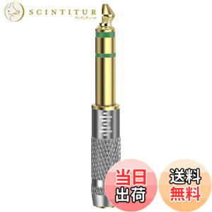 �y���������zGeekria Apollo �ϊ��v���O 6.35mm (�I�X)3�� - 2.5mm (���X)4�� �W���v���O �X�e���I�v���O �A�_�v�^�[