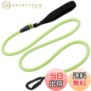�y���������zcocomall �� ���p���[�h ���^�A���^�A��^���p���[�h �P�����[�h �����O���[�h �y�b�g�p�i 3M���ˍޗ� �i�C������ �ʋC�� (�O���[��)