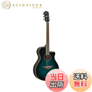 �y���������z���}�n YAMAHA �G���A�R�M�^�[ APX600 OBB �I���G���^���u���[�o�[�X�g(OBB)