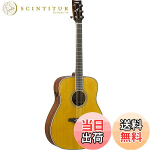 �y���������z���}�n YAMAHA �g�����X�A�R�[�X�e�B�b�N�M�^�[ FG-TA VT