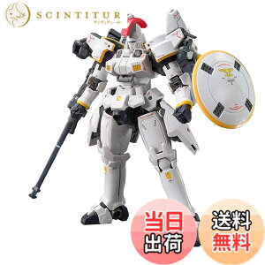 �y���������zRG �V�@����L�K���_��W Endless Waltz �g�[���M�X EW 1/144�X�P�[�� �F�����ς݃v�����f��