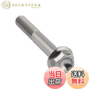 �y���������zDingtai �`�^���t�����W�{���gM10 x20 25 30 35 40 45 55 60 65 70 75 80 100mm 1.25mm �t�����W�˂� (M10x60mm) [���s�A���i]