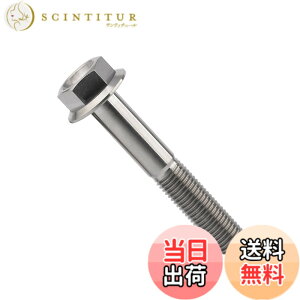 �y���������zDingtai �`�^���t�����W�{���gM10 x20 25 30 35 40 45 55 60 65 70 75 80 100mm 1.25mm �t�����W�˂� (M10x65mm) [���s�A���i]