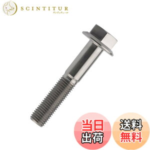 �y���������zDingtai �`�^���t�����W�{���gM10 x20 25 30 35 40 45 55 60 65 70 75 80 100mm 1.25mm �t�����W�˂� (M10x55mm) [���s�A���i]