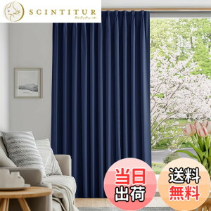 �y���������zDeconovo �Ռ��J�[�e�� �h���[�v�J�[�e�� ���n ��150cm��178cm ���F 1���� 1���Ռ� ������� �d�؂� ���L�� �`��L�����H UV�J�b�g �f�M �h�� �ߓd�΍� ����ډB��