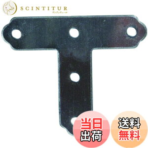 �y���������z�_�C�h�[�n���g (DAIDOHANT) (�⋭����) �X�e�����X T�� �� (�؃l�W�t) [SUS304] (W)11x(A)47x(B)39mm (2��) 62713