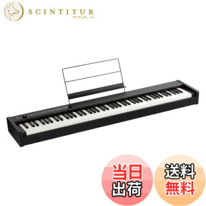 �y���������zKORG(�R���O) �d�q�s�A�m D1 88����/���S��/���{����RH3����/�_���p�[�y�_��/���ʗ��ĕt��/�����A�ŉ\ �u���b�N