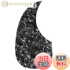 �y���������zMusiclily ��������Martin D28�X�^�C���� �A�R�[�X�e�B�b�N�M�^�[�p�s�b�N�K�[�h�A�u���b�N�p�[��