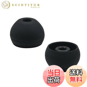 �y���������zA-Focus �C���[�`�b�v �C���[�s�[�X �C���`�b�v �e�� ��3.5mm�|3.8mm���a�C���z���ɓK�p BeatsX �AJBL T110BT ���ɓK�p �V���R�� �t�B�b�g ���K �݊��i �ǂ��Չ��� Large �T�C�Y 8��4�y�A����