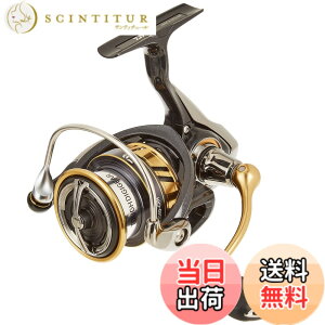 �y���������z�_�C��(DAIWA) �X�s�j���O���[�� 18 ���K���X LT3000-CXH(2018���f��)
