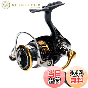 �y���������z�_�C��(DAIWA) �X�s�j���O���[�� 18 ���K���X LT2000S-XH(2018���f��)