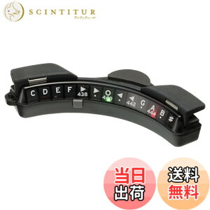 �y���������zKORG �T�E���h�E�z�[����t�^�`���[�i�[ �A�R�[�X�e�B�b�N�M�^�[��p Rimpitch-C2 �����s�b�`C2