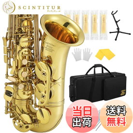 【送料無料】Eastar アルトサックス E Saxophone ゴールドラッカー サクソフォン ケース付き お手入れセット クリスマス(演奏用) AS-3