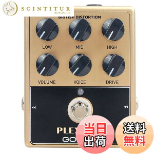 �y���������zGOKKO AUDIO �A���v �V�~�����[�^�[ �y�_�� �G�t�F�N�^�[ �u���e�B�b�V�����b�N�T�E���h PLEXIBOX GK-36