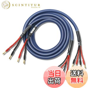 �y���������z�y�o�C���C���[�z WYVERN AUDIO �ɑ� �������x�� 12�c �o�i�i�v���O�t �����i HIFI �o�C���C�������O�ڑ� �o�C���C���[ �X�s�[�J�[�P�[�u�� 2�{1�g LR�Z�b�g �yWVA-04BW12�z �i�u���[�j 2.